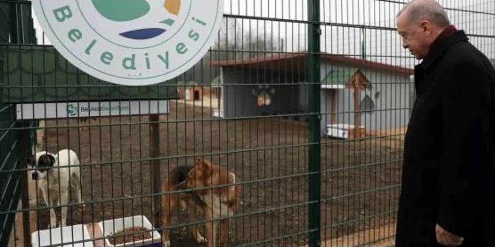 Cumhurbaşkanı Erdoğan'dan hayvan barınağına ziyaret